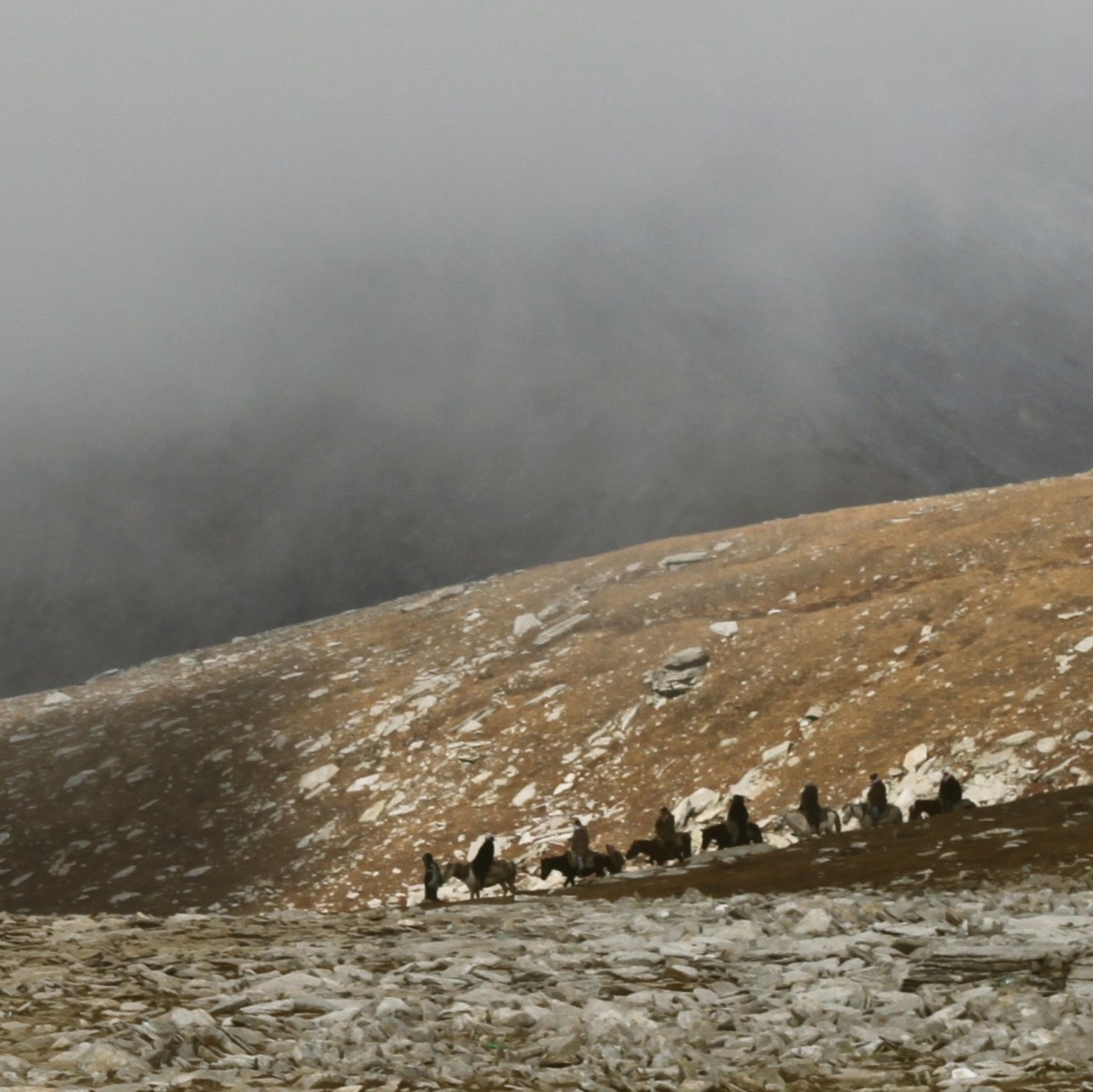 The Long Winter Album Cover